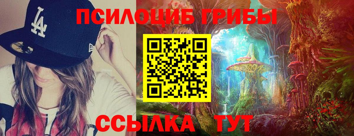Сибай  Псилоцибиновые грибы Psilocybine cubensis  Псилоцибиновые грибы Psilocybine cubensis  Вход с VPN 
